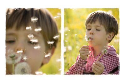 Collage Daniel u Pusteblume2