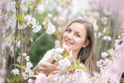 fotos mit Kirschblüten